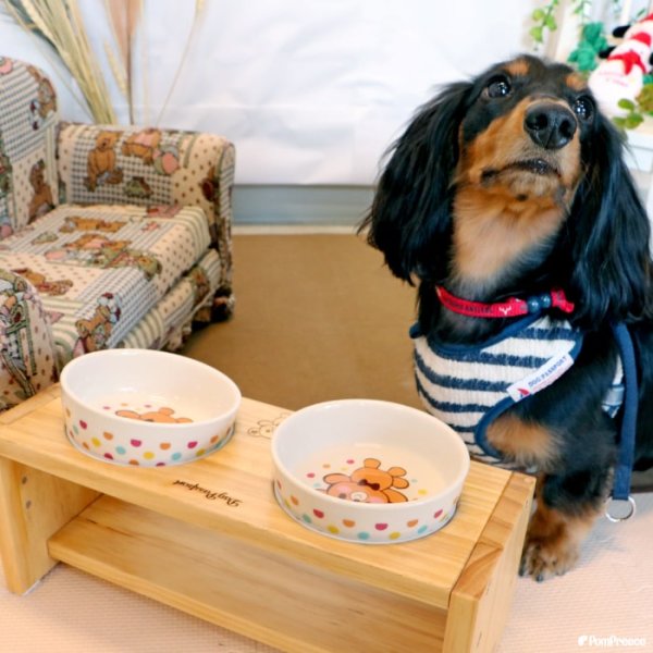 画像15: 【ポイント10倍で会員様はお得】フードディッシュ ハグベアー「ポム（Pomme）」【小型】 (15)