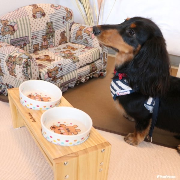 画像7: 【ポイント10倍で会員様はお得】フードディッシュ ハグベアー「ポム（Pomme）」【小型】 (7)