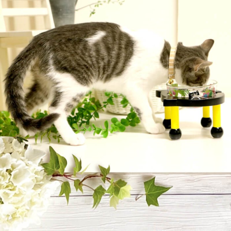 画像5: 【ポイント10倍で会員様はお得】ガラス製 フードディッシュ フラワーCAT (5)