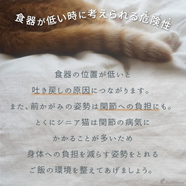 画像5: 【ポイント10倍で会員様はお得】猫 猫用品 可愛い 食器台 ネコ脚付ボウルスタンド ※お皿は別売り［ポンポリース］ (5)