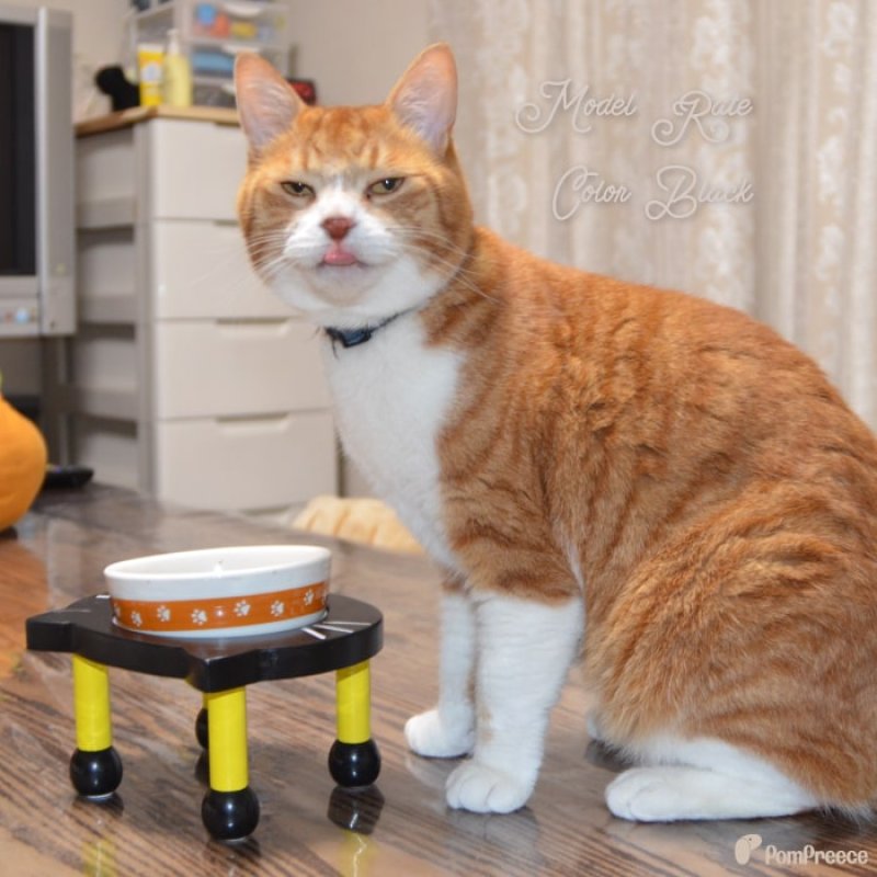 画像8: 猫用 木製 食器台 ネコポン ネコ脚付ボウルスタンド ※お皿は別売り (8)