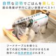 画像2: 【SALEでお得※在庫限りお早めに】[数量限定・未完成品]食器台 ナチュラルセット【小型】※イチゴのお皿別売り (2)