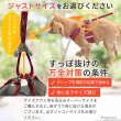 画像15: 【ポイント10倍で会員様はお得】［防虫香り袋プレゼント］スーパーハーネス＆リード タータンチェック 【1〜5号】小型犬用※在庫限り (15)