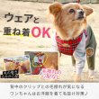 画像7: 【ポイント10倍で会員様はお得】［防虫香り袋プレゼント］スーパーハーネス＆リード タータンチェック 【1〜5号】小型犬用※在庫限り (7)