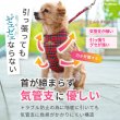 画像8: 【ポイント10倍で会員様はお得】［防虫香り袋プレゼント］スーパーハーネス＆リード タータンチェック 【1〜5号】小型犬用※在庫限り (8)