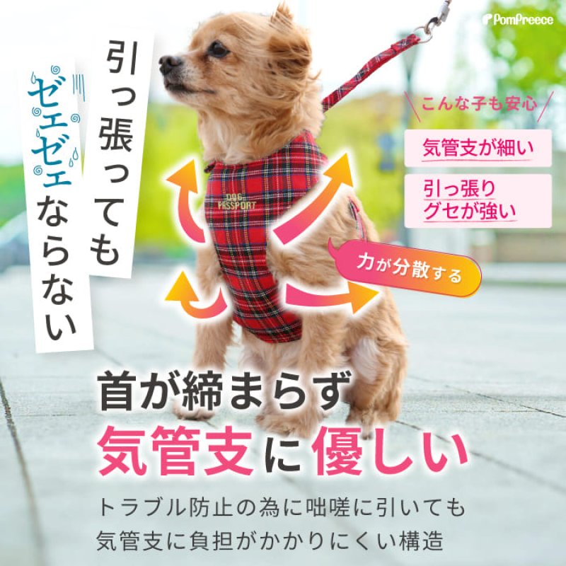 画像7: 【ポイント10倍で会員様はお得】スーパーハーネス＆リード タータンチェック 【1〜5号】小型犬用※在庫限り (7)