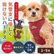 画像1: 【ポイント10倍で会員様はお得】［防虫香り袋プレゼント］スーパーハーネス＆リード タータンチェック 【1〜5号】小型犬用※在庫限り (1)