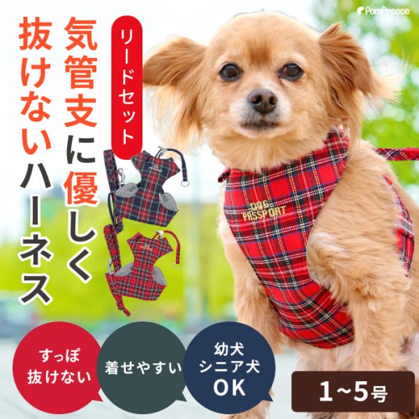画像1: 【ポイント10倍で会員様はお得】［防虫香り袋プレゼント］スーパーハーネス＆リード タータンチェック 【1〜5号】小型犬用※在庫限り (1)