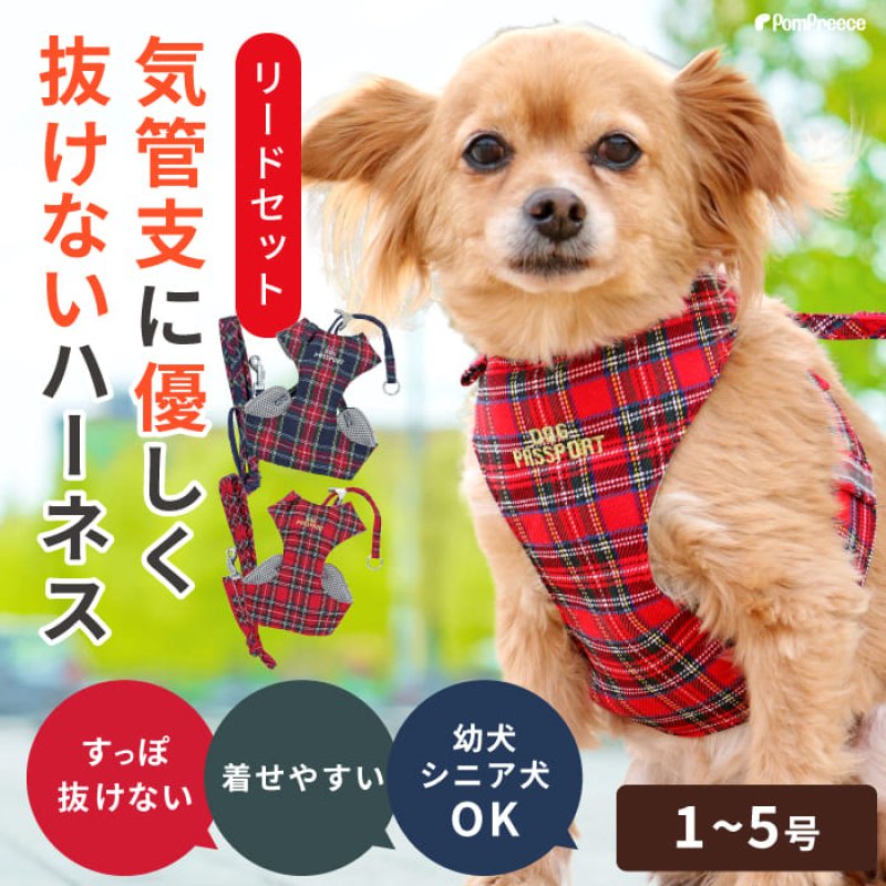 抜けないハーネス|後ずさりにも対応・愛犬の体に優しいお散歩