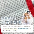 画像12: 【ポイント10倍で会員様はお得】［防虫香り袋プレゼント］スーパーハーネス＆リード トリコロールネオ 【3S〜6号】 (12)