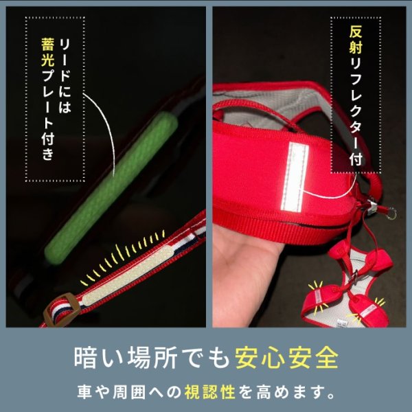 画像13: 【ポイント10倍で会員様はお得】［防虫香り袋プレゼント］スーパーハーネス＆リード トリコロールネオ 【3S〜6号】 (13)