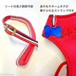 画像19: 【ポイント10倍で会員様はお得】［防虫香り袋プレゼント］スーパーハーネス＆リード トリコロールネオ 【3S〜6号】 (19)