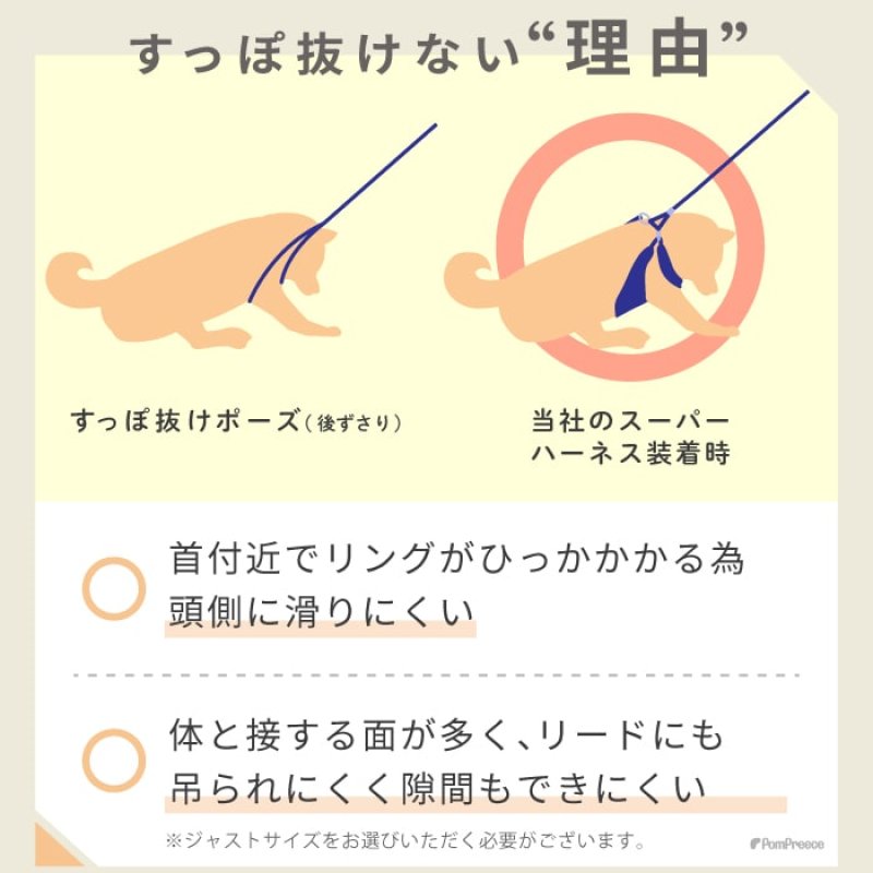 画像3: 【ポイント10倍で会員様はお得】スーパーハーネス＆リード トリコロールネオ 【3S〜6号】 (3)