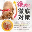 画像5: 【ポイント10倍で会員様はお得】［防虫香り袋プレゼント］スーパーハーネス＆リード トリコロールネオ 【3S〜6号】 (5)