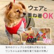 画像7: 【ポイント10倍で会員様はお得】［防虫香り袋プレゼント］スーパーハーネス＆リード トリコロールネオ 【3S〜6号】 (7)