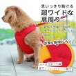 画像10: 【ポイント10倍で会員様はお得】［防虫香り袋プレゼント］スーパーハーネス＆リード トリコロールネオ 【3S〜6号】 (10)