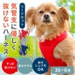 画像1: 【ポイント10倍で会員様はお得】［防虫香り袋プレゼント］スーパーハーネス＆リード トリコロールネオ 【3S〜6号】 (1)