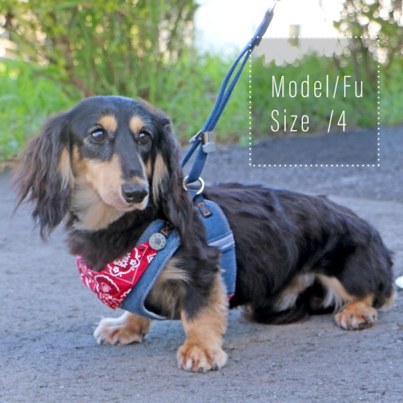 画像23: 【ポイント10倍で会員様はお得】スーパーハーネス&リード バンダナビンテージデニム 【1〜6号】 (23)