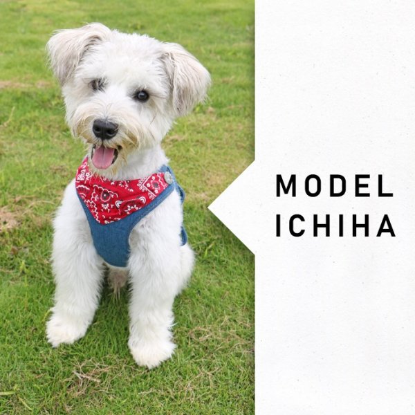 画像25: 【ポイント10倍で会員様はお得】［防虫香り袋プレゼント］スーパーハーネス&リード バンダナビンテージデニム 【1〜6号】 (25)