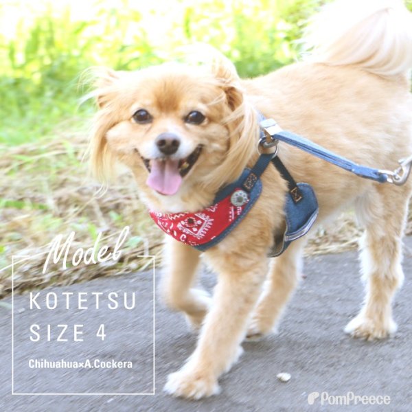 画像28: 【ポイント10倍で会員様はお得】［防虫香り袋プレゼント］スーパーハーネス&リード バンダナビンテージデニム 【1〜6号】 (28)