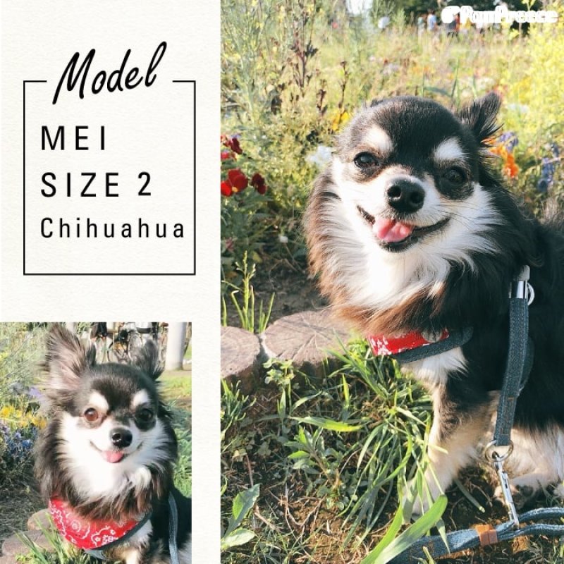 画像19: 【ポイント10倍で会員様はお得】スーパーハーネス&リード バンダナビンテージデニム 【1〜6号】 (19)