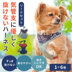 【ポイント10倍で会員様はお得】［防虫香り袋プレゼント］スーパーハーネス&リード バンダナビンテージデニム 【1〜6号】