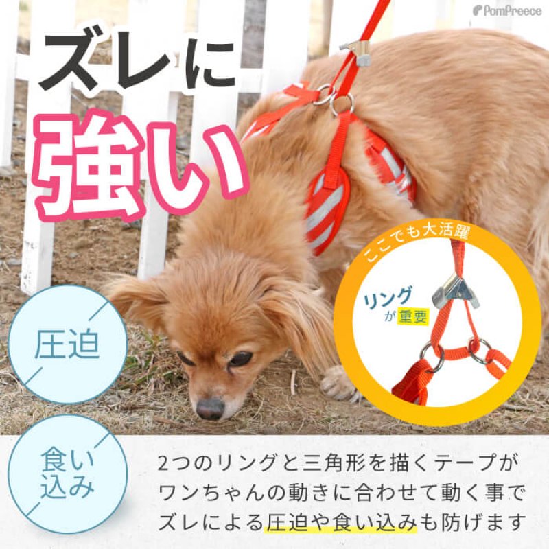 画像7: 小型犬用 スーパーハーネス＆リード 2モデル  ボーダーニットor  ロイヤルチェック 【1〜6号】 (7)