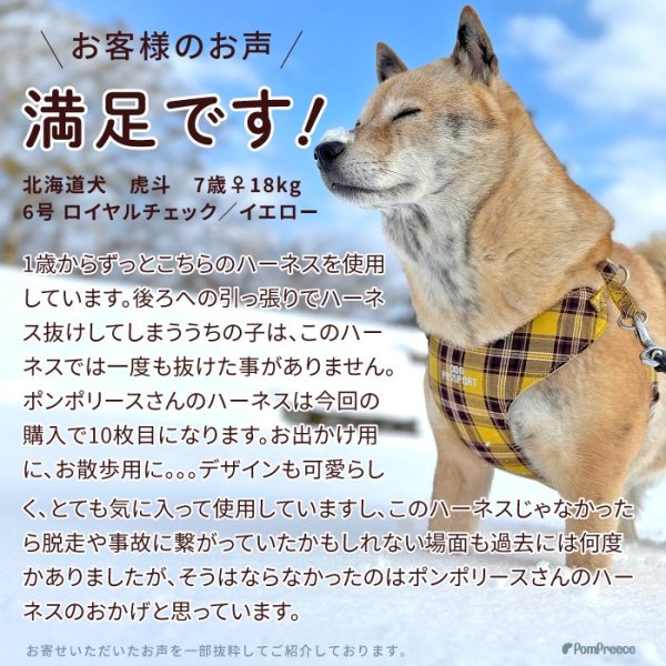 画像15: 【ポイント10倍で会員様はお得】 ［防虫香り袋プレゼント］犬用 スーパーハーネス＆リード 2モデル  ボーダーニットor  ロイヤルチェック (15)
