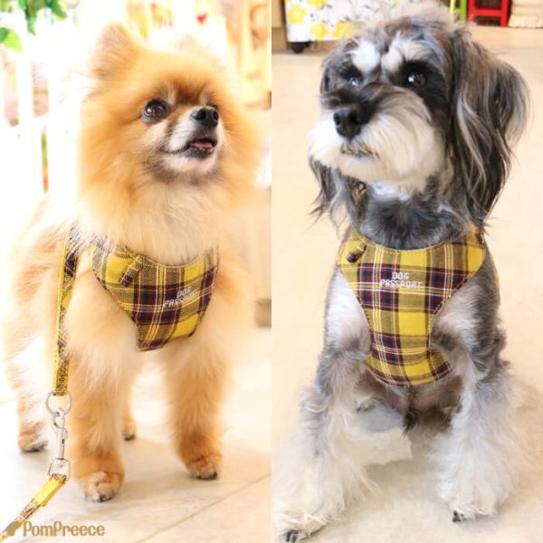 画像20: 【ポイント10倍で会員様はお得】 ［防虫香り袋プレゼント］犬用 スーパーハーネス＆リード 2モデル  ボーダーニットor  ロイヤルチェック (20)