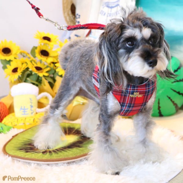 画像21: 【ポイント10倍で会員様はお得】 ［防虫香り袋プレゼント］犬用 スーパーハーネス＆リード 2モデル  ボーダーニットor  ロイヤルチェック (21)