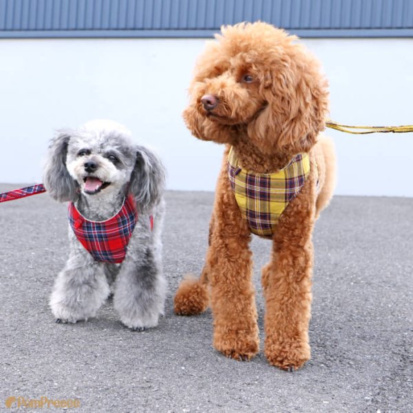 画像23: 【ポイント10倍で会員様はお得】 ［防虫香り袋プレゼント］犬用 スーパーハーネス＆リード 2モデル  ボーダーニットor  ロイヤルチェック (23)