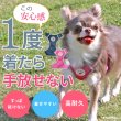 画像3: 【ポイント10倍で会員様はお得】［防虫香り袋プレゼント］犬用 スーパーハーネス &リードセット メッシュ ドッグスター 蓄光反射ワッペン付 1号〜6号 (3)