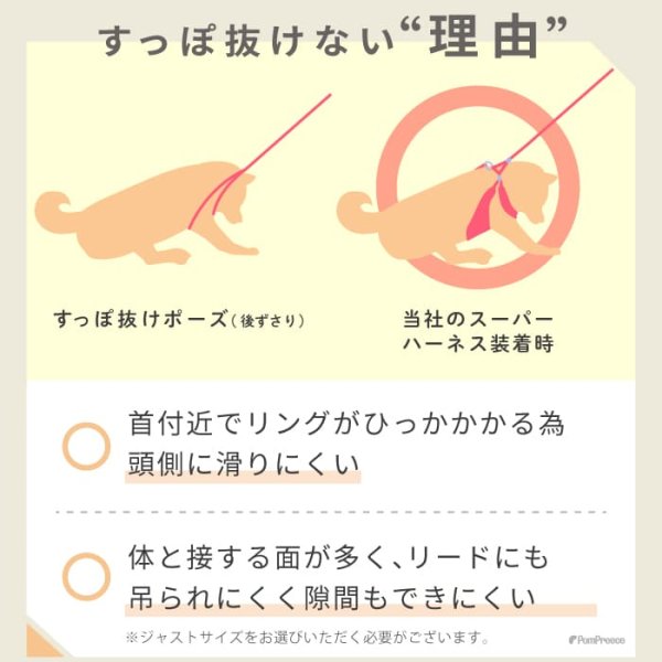 画像4: 【ポイント10倍で会員様はお得】［防虫香り袋プレゼント］犬用 スーパーハーネス &リードセット メッシュ ドッグスター 蓄光反射ワッペン付 1号〜6号 (4)
