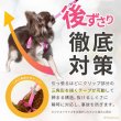 画像5: 【ポイント10倍で会員様はお得】［防虫香り袋プレゼント］犬用 スーパーハーネス &リードセット メッシュ ドッグスター 蓄光反射ワッペン付 1号〜6号 (5)