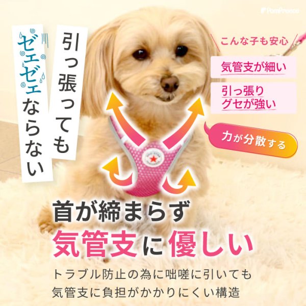 画像8: 【ポイント10倍で会員様はお得】［防虫香り袋プレゼント］犬用 スーパーハーネス &リードセット メッシュ ドッグスター 蓄光反射ワッペン付 1号〜6号 (8)