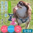 画像1: 【ポイント10倍で会員様はお得】［防虫香り袋プレゼント］犬用 スーパーハーネス &リードセット メッシュ ドッグスター 蓄光反射ワッペン付 1号〜6号 (1)