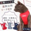 画像1: 【ポイント10倍で会員様はお得】  猫用スーパーハーネス＆リード トリコロールネオ CAT 【2〜4号】 (1)