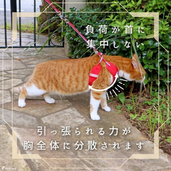 画像2: 【ポイント10倍で会員様はお得】  猫用スーパーハーネス＆リード トリコロールネオ CAT 【2〜4号】 (2)