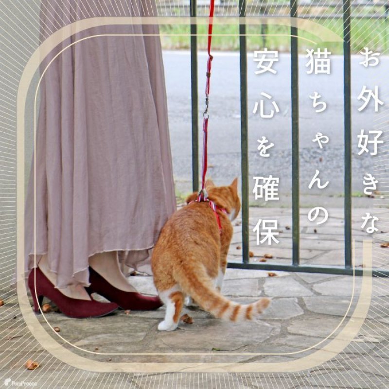 画像3: 猫用 スーパーハーネス＆リード トリコロールネオ 【2〜4号】 (3)