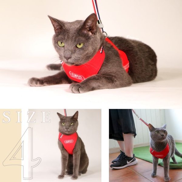 画像6: 【ポイント10倍で会員様はお得】  猫用スーパーハーネス＆リード トリコロールネオ CAT 【2〜4号】 (6)