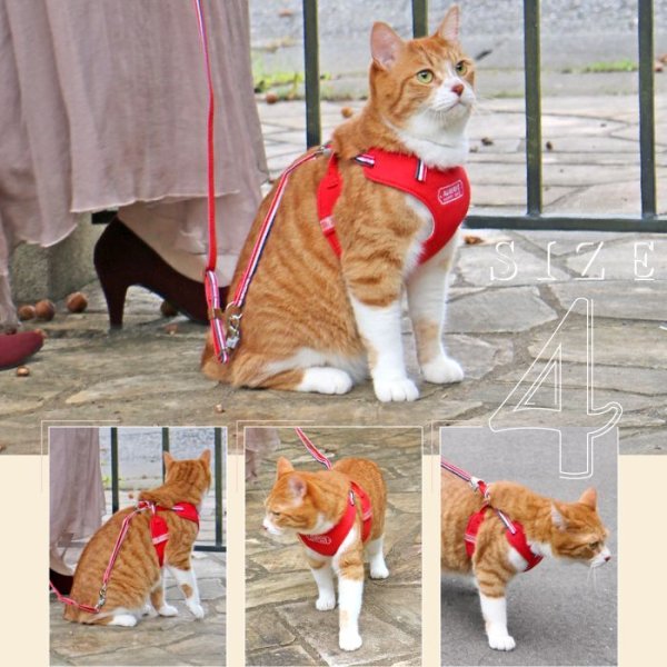 画像7: 【ポイント10倍で会員様はお得】  猫用スーパーハーネス＆リード トリコロールネオ CAT 【2〜4号】 (7)