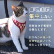 画像2: 【ポイント10倍で会員様はお得】  猫用リード付スーパー胴輪 矢がすり 【3号】 (2)
