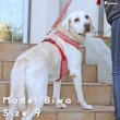 画像2: 【ポイント10倍で会員様はお得】中大型犬用 スーパーフィットハーネス 唐草 【9号】 (2)