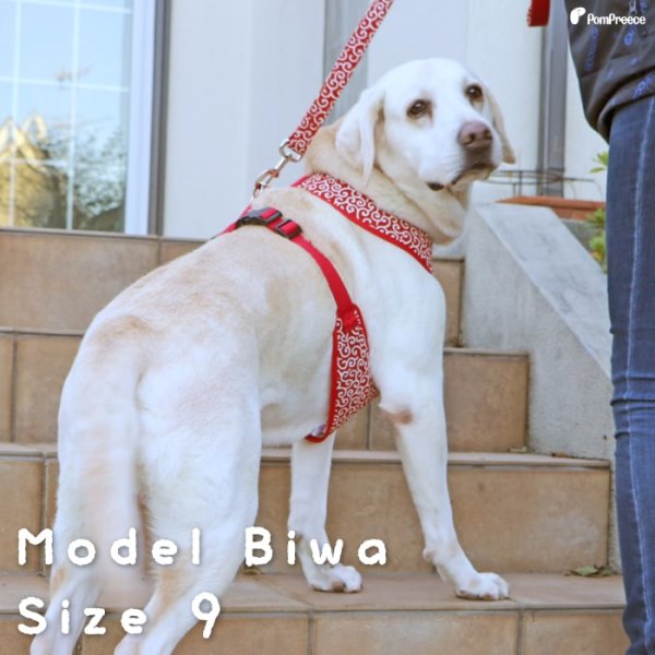 画像2: 【ポイント10倍で会員様はお得】 中大型犬用 スーパーフィットハーネス 唐草 【10号】 (2)