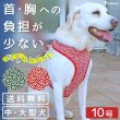 画像1: 【ポイント10倍で会員様はお得】 中大型犬用 スーパーフィットハーネス 唐草 【10号】 (1)
