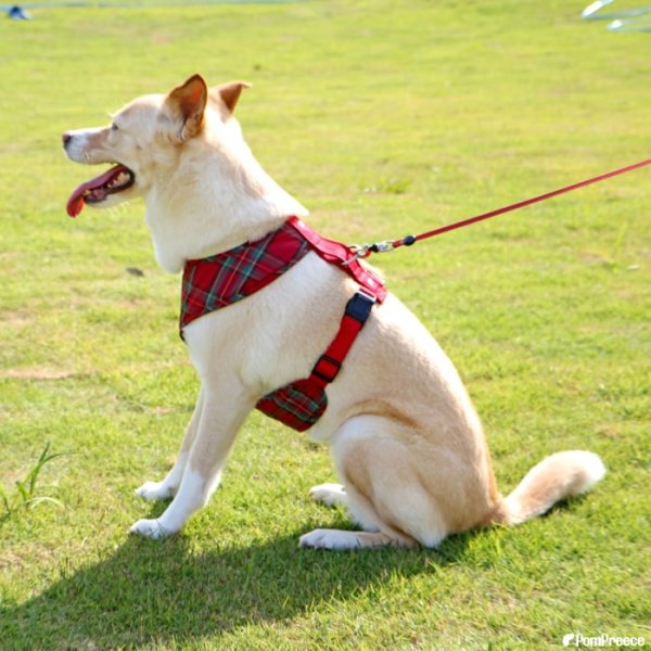 画像2: 【ポイント10倍で会員様はお得】  中・大型犬用 スーパーフィットハーネス タータンチェック 【9号】 (2)