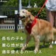 画像2: 【ポイント10倍で会員様はお得】 中大型犬用スーパーフィット胴輪　ドッグスター 【9〜10号】 (2)