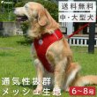 画像1: 【ポイント10倍で会員様はお得】 犬 犬用 ハーネス リード 胴輪 抜けない  メッシュ 通気性  中大型犬用スーパーフィット胴輪　ドッグスタ 【6号〜8号】 (1)