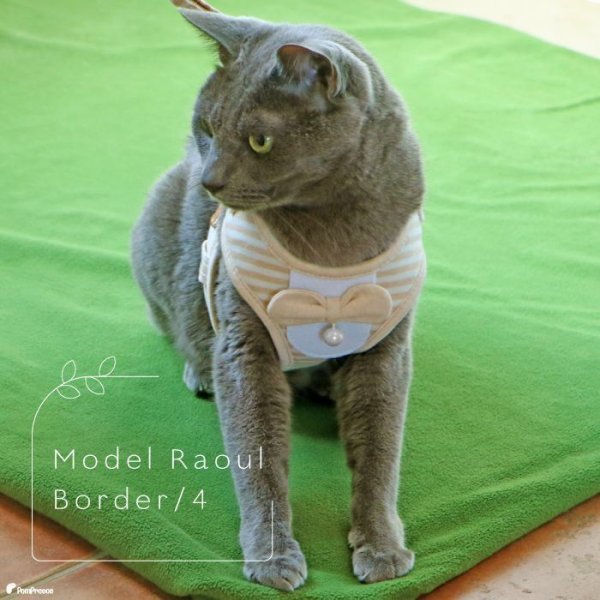 画像15: 【ポイント10倍で会員様はお得】  猫用スーパーハーネス＆リード フェアオーガニック 【2号・3号・4号】 (15)