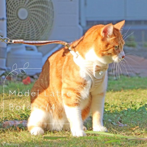 画像9: 【ポイント10倍で会員様はお得】  猫用スーパーハーネス＆リード フェアオーガニック 【2号・3号・4号】 (9)